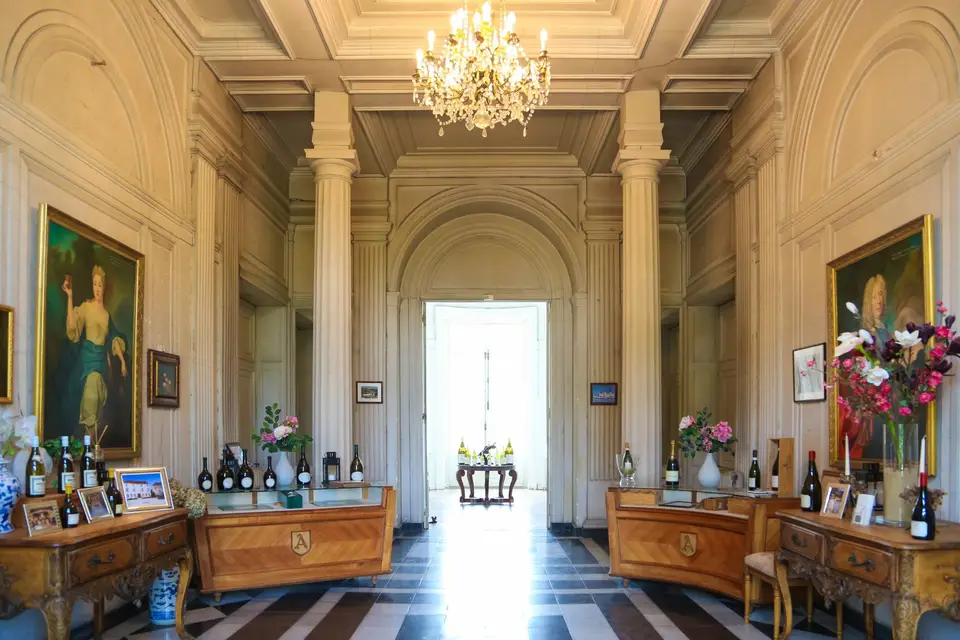 salle de dégustation de vins et champagnes 