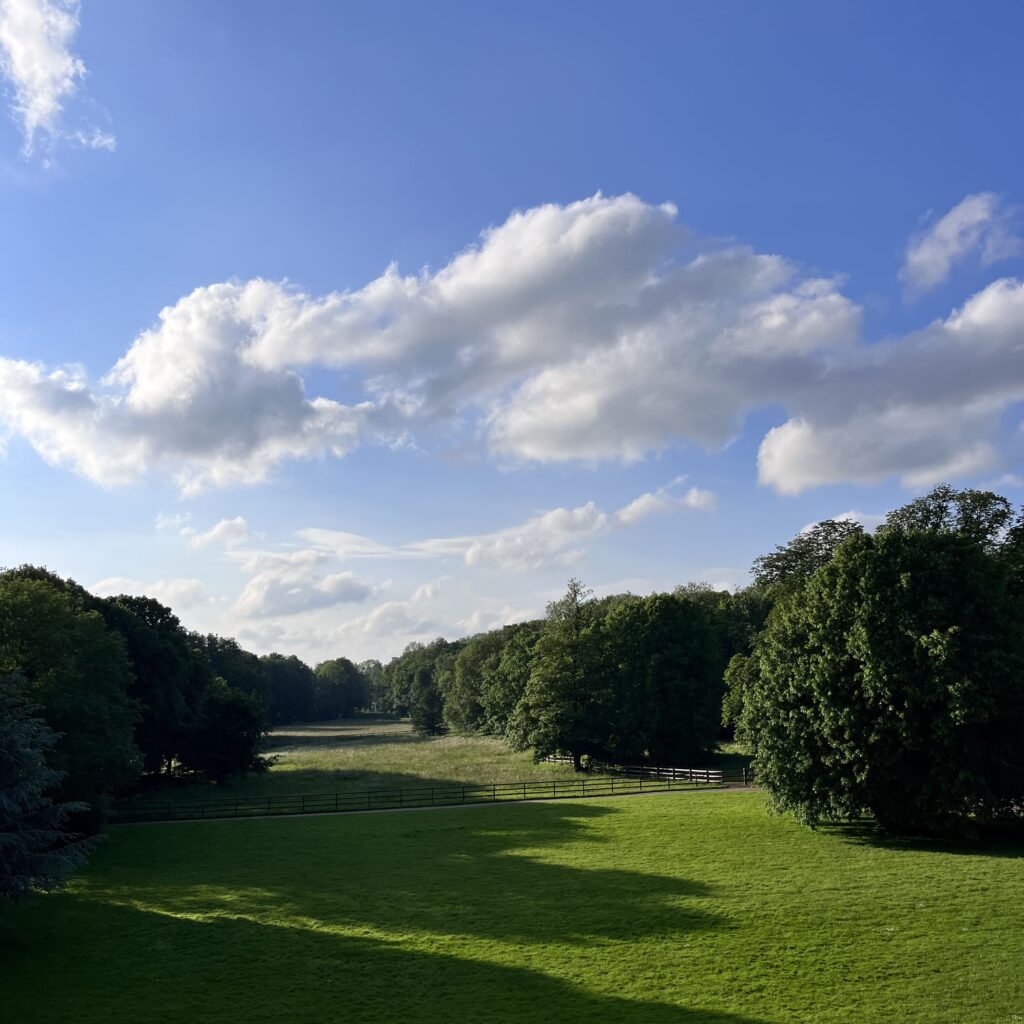 grand jardin